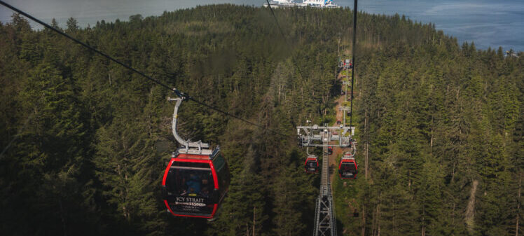 Mountain Top Forest Excursions
