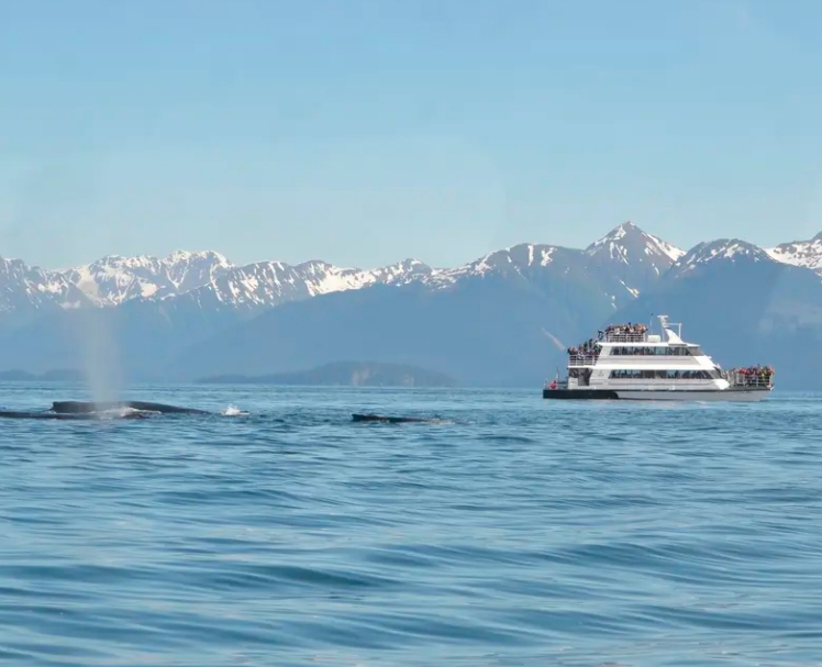 Round-trip catamaran travel<br> from Juneau to Hoonah